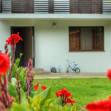Guest House Sirius Pizunda Exterior foto